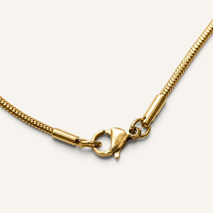 Initial Chain