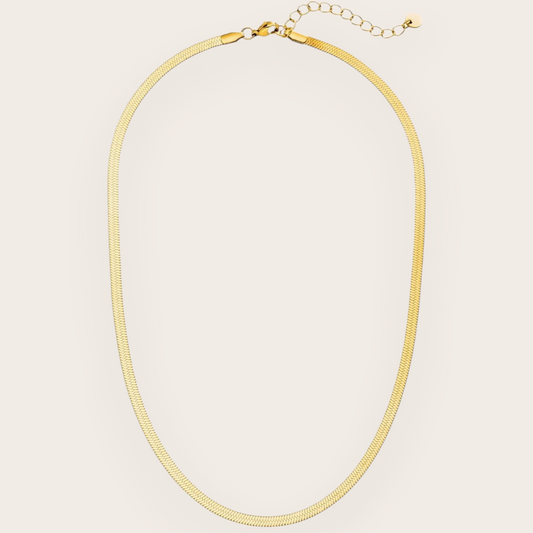 Nova Chain