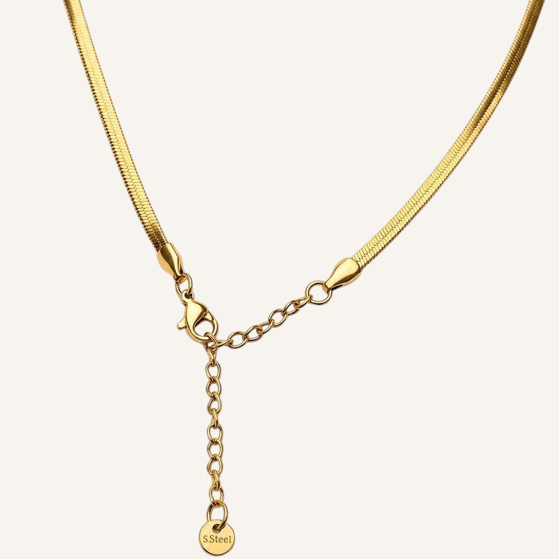Nova Chain